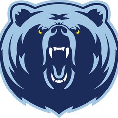 Cambridge High School Bears mascot