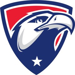 Milton High School Eagles mascot